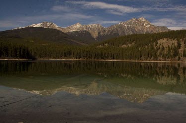 Lake Patricia lake,snow-capped mountains,mountains,pine forest,woodland,reflection,natural beauty