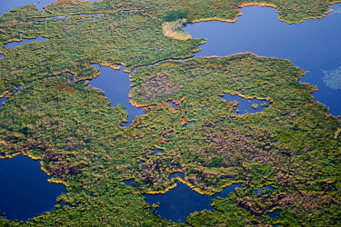 Coastal marsh aerial,marsh,colour,colourful,water,wetland,pattern,green,habitat