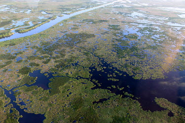 Coastal marshes landscape,river,Gulf of Mexico,gulf,marsh,coastal,wetland,aerial,habitat