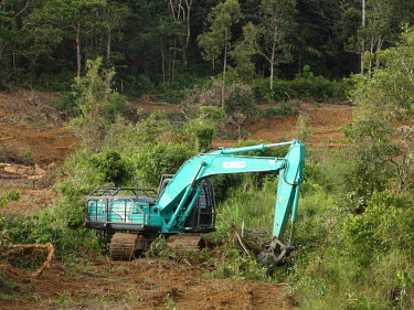 Orangutan Habitat Destruction habitat,destruction,machine,machinery,digger,rainforest,orangutan,orangutans,home,forest,forests,trees,loss,deforestation