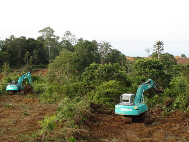 Orangutan Habitat Destruction habitat,destruction,machine,machines,machinery,digger,rainforest,orangutan,orangutans,home,forest,forests,trees,loss,habitat destruction,deforestation
