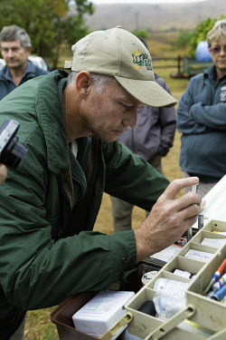 Head of game capture, Jeff Cooke preparing tranquilizer darts for rhino Africa,Conservation,rhino,rhinos,black rhino,black rhinos,black rhinoceros,Diceros bicornis,mammal,mammals,translocate,translocation,capture,captive,people,protected area,release,protect,protected,tra