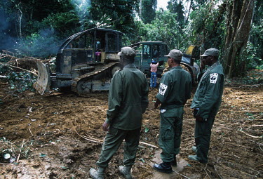Conservation Issues: WWF International staff monitor logging operations in Gabon Africa,Conservation,issue,issues,conservation issues,conservation issue,threat,threatened,logging,logged,log,logs,rainforest,rainforests,forest,forests,export,cut,timber,tree,trees,trunk,trunks,people