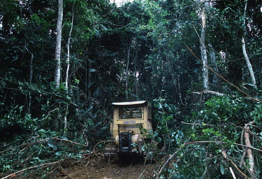 Conservation Issues: a bulldozer clears trees and vegetation to build a road into logging concession areas Africa,Conservation,issue,issues,conservation issues,conservation issue,threat,threatened,logging,logged,log,logs,rainforest,rainforests,forest,forests,export,cut,timber,tree,trees,trunk,trunks,people