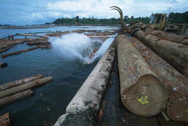Conservation Issues: Rainforest logs await export Africa,Conservation,issue,issues,conservation issues,conservation issue,threat,threatened,logging,log,logs,rainforest,export,harbour,water,splash,store,cut,timber,tree,trees,trunk,trunks,float,floatin