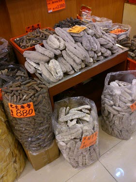 Sea cucumber for sale in medicine shop China,Chinese medicine,Traditional Chinese Medicine,medicine,medicine shop,illegal,illicit,illegal wildlife trade,wildlife trade,poaching,poached,dead,endangered species,threats,conservation threat,se
