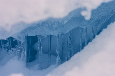 Ice Arctic,ice,sea ice,snow,Svalbard,winter,polar,abstract,blue,icicles,Ice,Sea ice,Snow,Winter