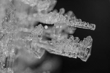 Ice Svalbard,ice,close-up,close up,shallow focus,dark background,black background,crystals,black and white,b&w,abstract