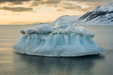 Ice sculpture Svalbard,seascape,winter,sculpture,Arctic,iceberg,glacier ice,ice,ocean,sea,blue ice,sea ice