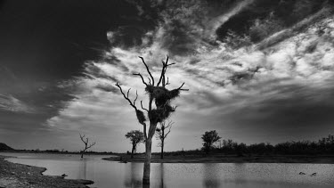 Cloudy lake black and white,black and white photography,water,lake,b&w,cloud,clouds,habitat