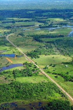 Aerial view of the Amazon Rainforest, near Manaus brazil,latin america,forest,forests,rainforests,rainforest,amazon,aerial,spanish,climate change,global warming,verticals,cifor,habitat loss,habitat exploitation,road,cut,wetlands