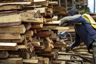 A wood seller at MonteÌe Parc Market africa,people,man,men,horizontal,timber,market,markets,commercial,cameroon,yaounde,wood market,seller,work,wood,lumber,industrial,shallow focus,closdeforestatione up,close-up