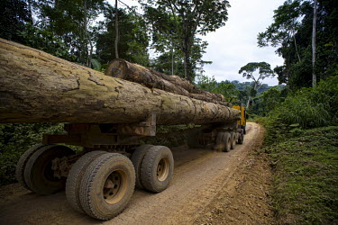 Wood Truck for the Company Fabrique Camerounaise africa,road,horizontal,truck,landscape,logs,transportation,land,congo,climate change,lumber,cameroon,ngon,ebolowa,wood,log,logging,trunk,timber,huge,big,deforestation