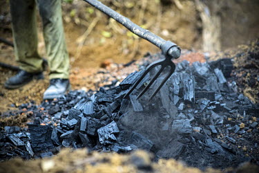 Charcoal is wood after being burned without oxygen africa,horizontal,close up,close-up,burn,charcoal,forests,climate change,global warming,cameroon,ovangoul,production,shallow focus,deforestation