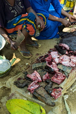 Bushmeat (crocodile and antelope) africa,animals,food,meat,foods,crocodile,congo,meats,drc,livelihoods,democratic republic of congo,bushmeat,bush meat,lukolela,market,stall,for sale,people,shallow focus