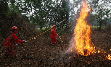 Villagers practicing putting out flames during a fire drill people,woman,man,horizontal,forest,central,practice,activity,redd,fires,climate change,global warming,kalimantan,community involvement,environment,forests,equipment,safety,fire,forest fire,putting out