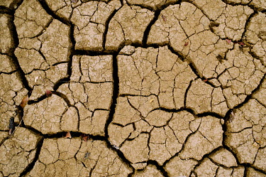 A tributary of the Nouhou river dried up due to the low water level Africa,horizontal,close-up,close up,dry,climate change,cracked,Burkina Faso,Boromo,Nouhou River,mud,riverbed,low,water,levels,dried,abstract,pattern,CIFOR,forest research,adaptation,production forests