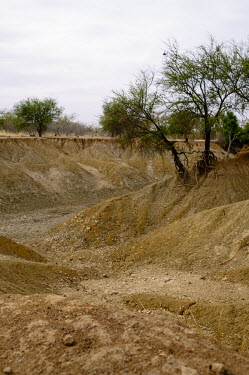 A tributary of the Nouhou river dried up due to the low water level road,trees,river,tributary,Africa,dry,climate change,cracked,Burkina Faso,Boromo,Nouhou River,mud,riverbed,low,water,levels,dried,CIFOR,forest research,adaptation,production forests