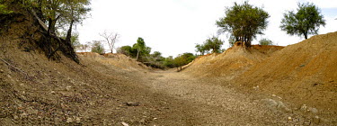 A tributary of the Nouhou river dried up due to the low water level road,trees,river,tributary,Africa,dry,climate change,cracked,Burkina Faso,Boromo,Nouhou River,mud,riverbed,low,water,levels,dried,landscape,panorama,roots,erosion,eroded,CIFOR,forest research,adaptati