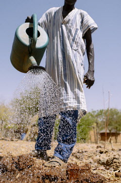 Prosper Sawadogo, a farmer africa,plants,man,people,land,watering,Burkina Faso,verticals,cifor,village of birou,watering can,water,farmer,agriculture,diversity,training,shallow focus,CIFOR,forest research,climate change,adaptat