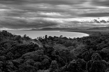 Aerial view of jungle coastline jungle,jungles,forest,forests,habitat,environment,tree,trees,canopy,landscape,Americas,Central America,Costa Rica,rainforest,tropical,tropics,cloud,cloudy,black and white,Spanish
