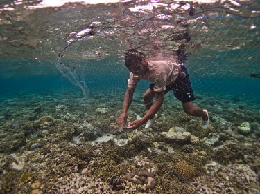A destructive gill net being laid along a reef reef,coral,coral reef,tropical,fishing,fishing practices,net,gill net,fishing net,destructive,threat,gear,harmful,Asia,sea,ocean,oceans,man,humans,impact,industry,marine,fisherman,conservation issue