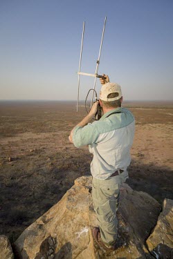 A researcher standing on a hill top while tracking African wild dogs using radio telemetry savannah,savanna,Africa,conservation,monitoring,tracks,tracking,radio tracking,warden,human,African wild dog,Lycaon pictus,Carnivores,Carnivora,Mammalia,Mammals,Chordates,Chordata,Dog, Coyote, Wolf, F