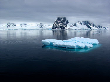Iceberg floatig in Antarctica ice,iceberg,Antarctica,ice cap,ice caps,polar,polar ice,water,sea,ocean,oceans,marine,coast,coastal,coastline,southern ocean,blue,white,atmosphere,landscape,habitat,winter,snow,cold,freezing,Iceberg