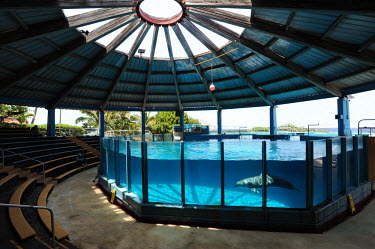 Sea Life Park in Hawaii, dolphins are kept captive in vapid tanks to entertain tourists locked,prisoner,victim,sad,captive,Bottlenose dolphin,Tursiops truncatus,Mammalia,Mammals,Oceanic Dolphins,Delphinidae,Cetacea,Whales, Dolphins, and Porpoises,Chordates,Chordata,bottle-nosed dolphin,C