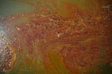 The thick sludge of oil covering the sea after an oil spill, Mississippi Delta, USA Aquatic,water,water body,shoreline,Shore,sea shore,shoreland,sea side,spillage,Oil spill,oil leak,oil spillage,Fossil fuel,Fossil Fuels,fuel,Oil,environment,ecosystem,Habitat,Human impact,human influe