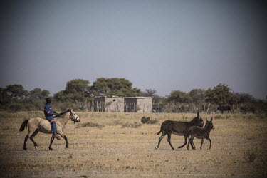 Cowboy - Botswana, Africa cowboy,human,ranch