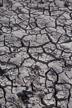Dry cracked mud - Botswana, Africa environment,ecosystem,Habitat,dry,Arid,Xeric,Desert,Terrestrial,ground,mud,dirt,earth