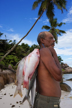 Fisherman with his catch of the day, snapper fish - Seychelles snapper,fish,red snapper,yellow fin red snapper,silver fish,catch,fisherman,fishing,beach,coast,coastal,food,livlihood