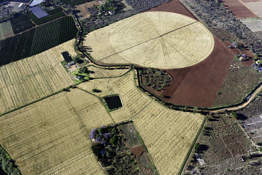 Circular fields result from centre-pivot farming methods - South Africa Aerial,Farming,Farmland,Circular fields,Field,Farming methods,Centre-pivot method,Landscape