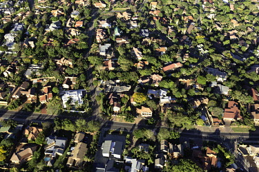 Aerial view of Johannesburg suburbs - Johannesburg, South Africa Aerial,Skyline,Landscape,City,Suburbs,Road,Buildings,Houses,Neighbourhood,Trees,Rooftops,Settlement