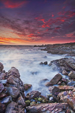 A rocky shore with African Penguin colony in background and a colourful sunset overhead - South Africa Beauty in nature,Sunset,Dramatic sky,Colour,Long exposure,Coast,Coastal,Waves,Rocks,Boulders,Clouds,Orange,Red,Blue,Penguin,Colony,African Penguin,Spheniscus demersus,Aves,Birds,Chordates,Chordata,Sph