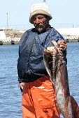 Squid fishery, Dosidicus gigas, Small-scale fisheries, Santa Rosalia, Baja California, Golfo de California