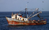 Commercial Fishing Vessel in Sonora, Mexico.