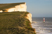Chalk cliffs and Beachy Head lighthouse