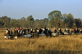 Tourists in jeeps looking for tigers in Kanha meadows