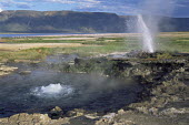 Erupting geyser and hot spring