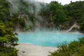 Blue pool at Waimangu Volcanic Rift Valley geothermal pool
