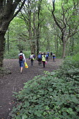Children and volunteers in woodland at BioBlitz event near Bristol, UK Children,nature,BioBlitz,survey