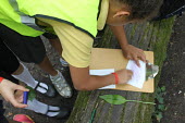 Children leaf rubbing Identification,connecting with nature,children,leaves,leaf rubbing,school children,nature children
