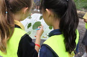 Children identifying trees Identification,connecting with nature,children,leaves,id key,identification key,school children,nature children