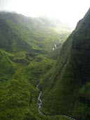 Kaua'i from the air Habitats,forest,valleys,streams,untouched,wilderness