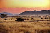 Kalahari Desert africa,namibia,Kalahari,Desert,deserto