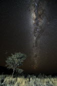 Milky Way at Namib Desert - Naukluft Park milky way,via lattea,stelle,stars,africa,namibia,Namib Desert,Naukluft Park
