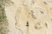 Aerial view of sand mining. Horizontal,Outdoors,South Africa,Western Cape,aerial,africa,african,color,colour,day,image,landscape,landscape format,nature,photo,photograph,photography,quarry,rural,sand mining,scenery,scenic