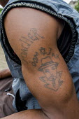 Poacher tattoo African conservation photography,Coastline,Kogelberg,Marine Protected Area,Outdoors,South Africa,Western Cape,africa,african,color,colour,day,holiday destination,image,kleinmond,marine,nature reserve,